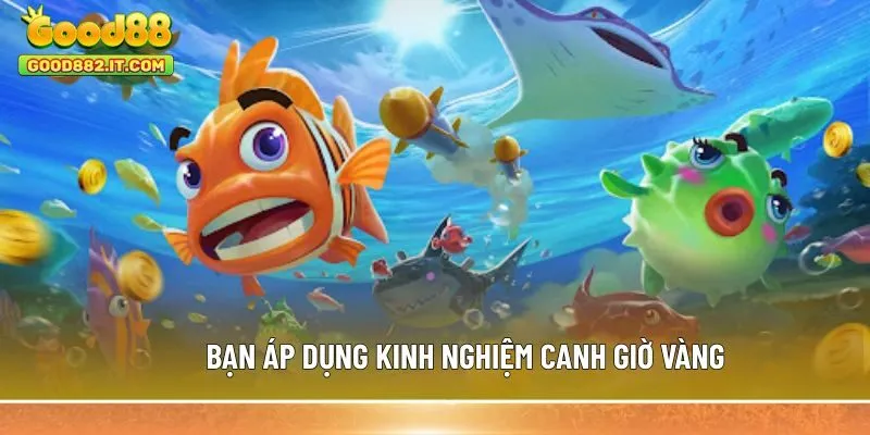 Bạn áp dụng kinh nghiệm canh giờ vàng