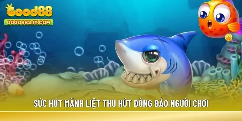 Sức hút mãnh liệt thu hút đông đảo người chơi