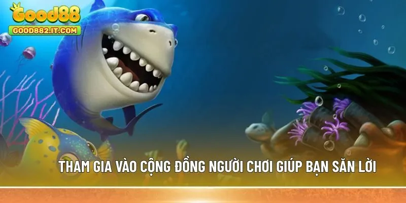 Tham gia vào cộng đồng người chơi giúp bạn săn lời